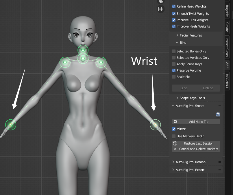 Blender Auto-Rig Pro (ARP)插件 Get Selected Objects 操作截圖